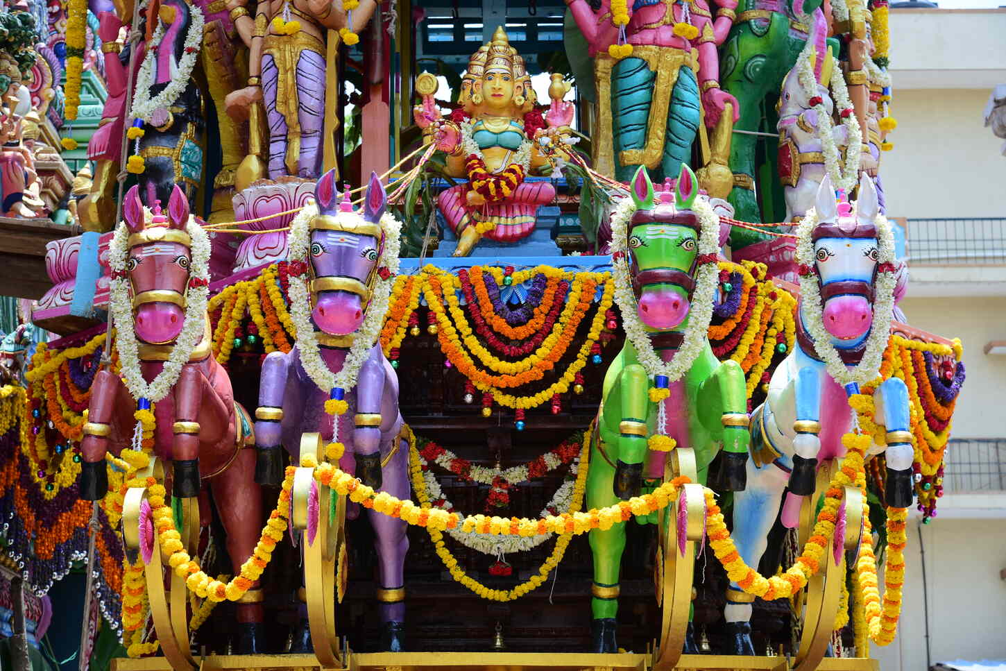 Festival